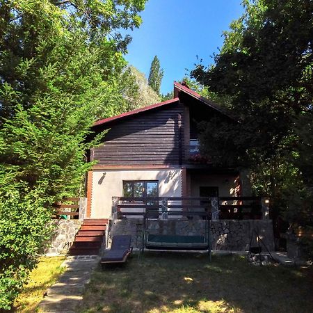 Mountain Family Chalet On Prahova Valley Comarnic Dış mekan fotoğraf