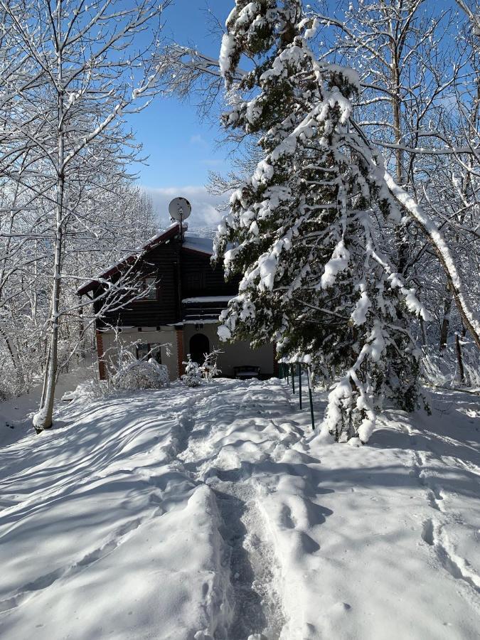 Mountain Family Chalet On Prahova Valley Comarnic Dış mekan fotoğraf