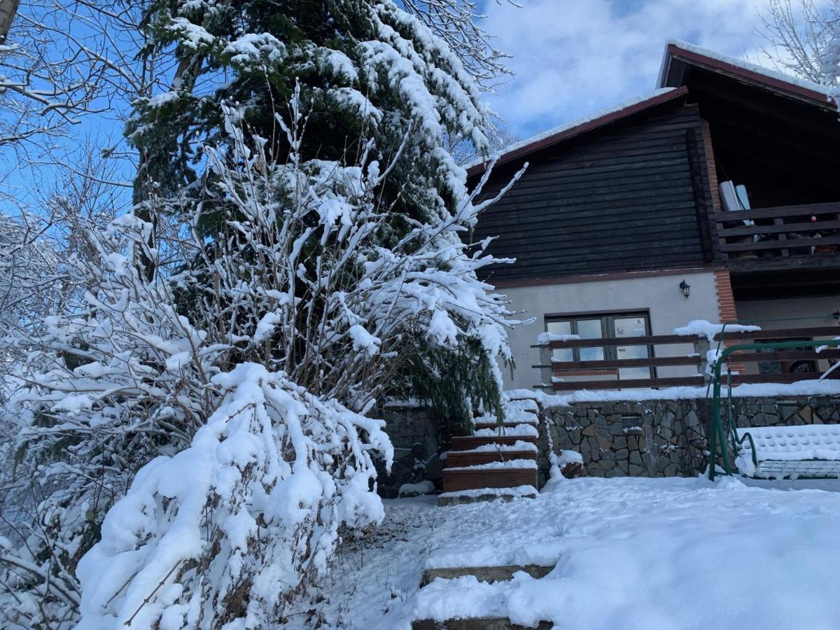 Mountain Family Chalet On Prahova Valley Comarnic Dış mekan fotoğraf