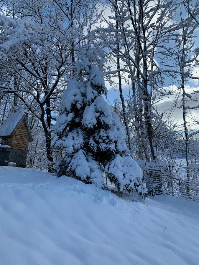 Mountain Family Chalet On Prahova Valley Comarnic Dış mekan fotoğraf