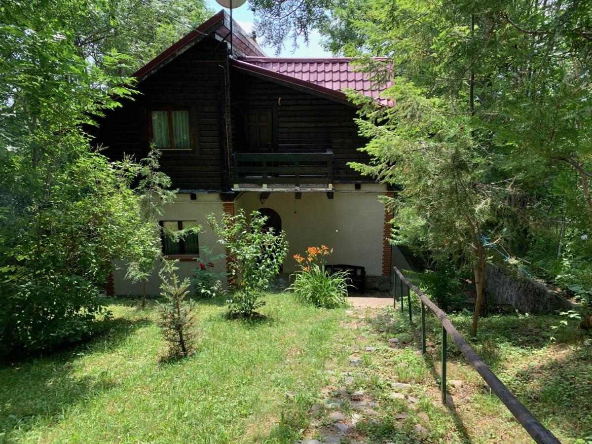 Mountain Family Chalet On Prahova Valley Comarnic Dış mekan fotoğraf
