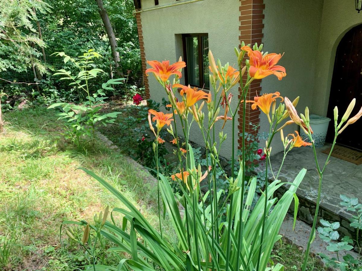 Mountain Family Chalet On Prahova Valley Comarnic Dış mekan fotoğraf