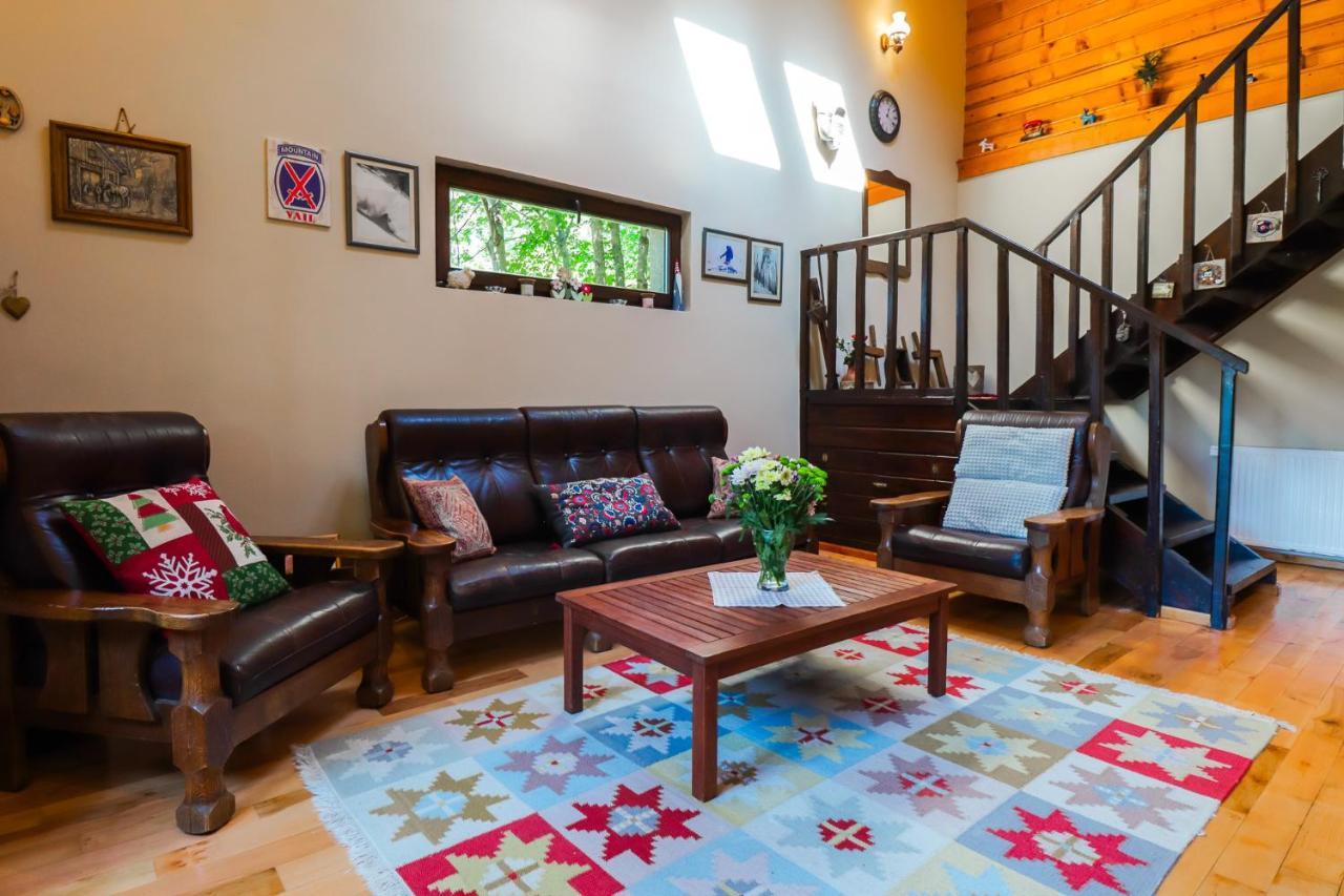 Mountain Family Chalet On Prahova Valley Comarnic Dış mekan fotoğraf