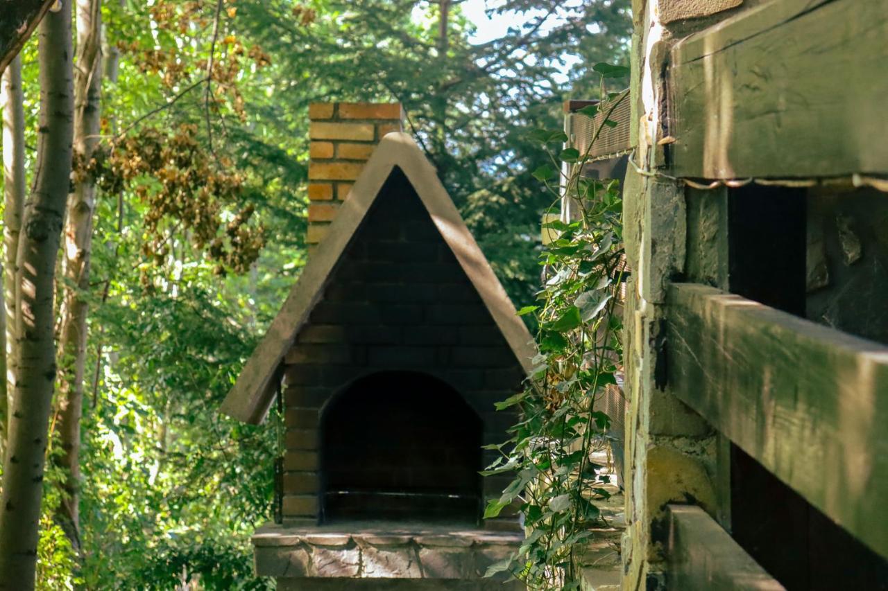 Mountain Family Chalet On Prahova Valley Comarnic Dış mekan fotoğraf