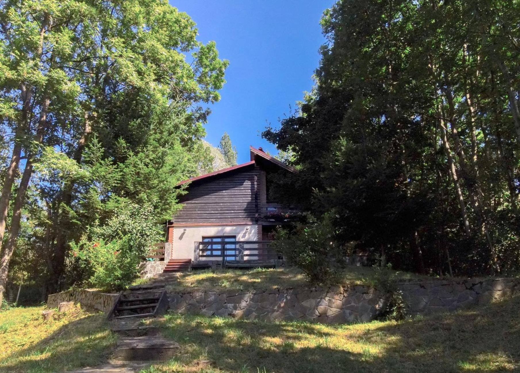 Mountain Family Chalet On Prahova Valley Comarnic Dış mekan fotoğraf