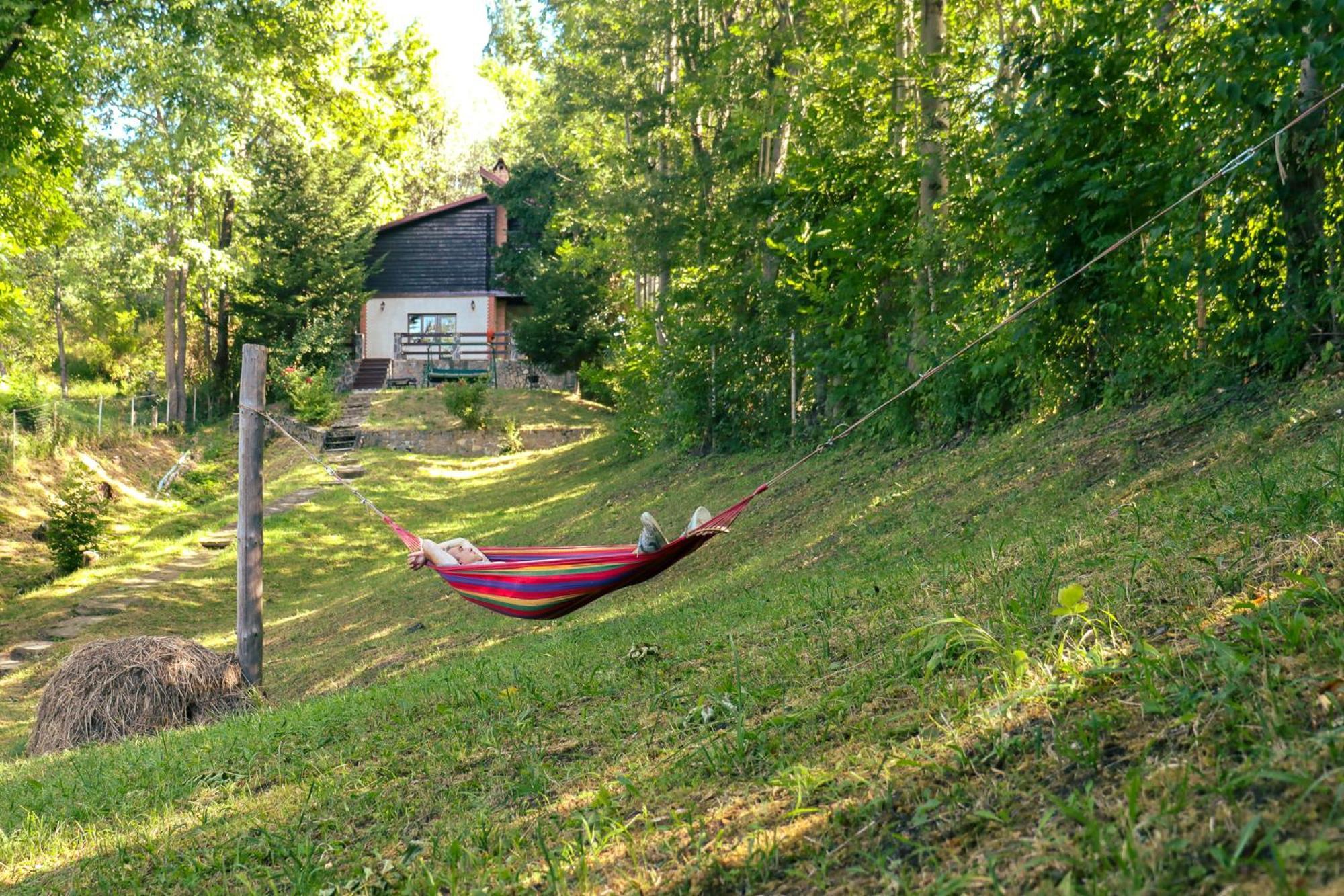 Mountain Family Chalet On Prahova Valley Comarnic Dış mekan fotoğraf
