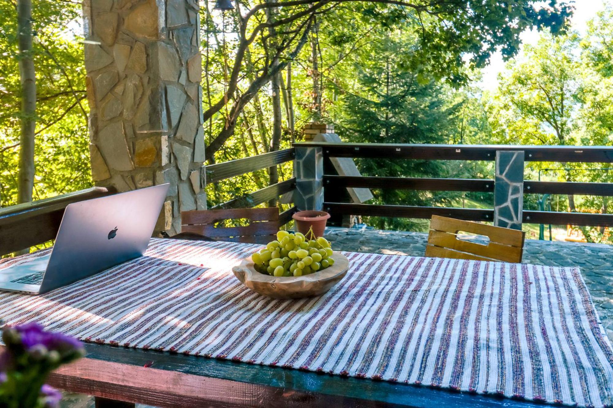 Mountain Family Chalet On Prahova Valley Comarnic Dış mekan fotoğraf